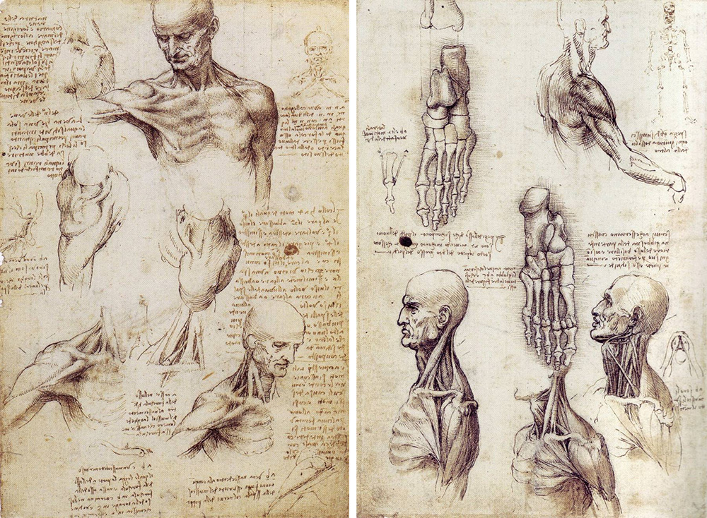 sketchbook Leonardo da Vinci
